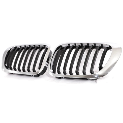 BMW E46 Pre-Lci Kidney Grille
